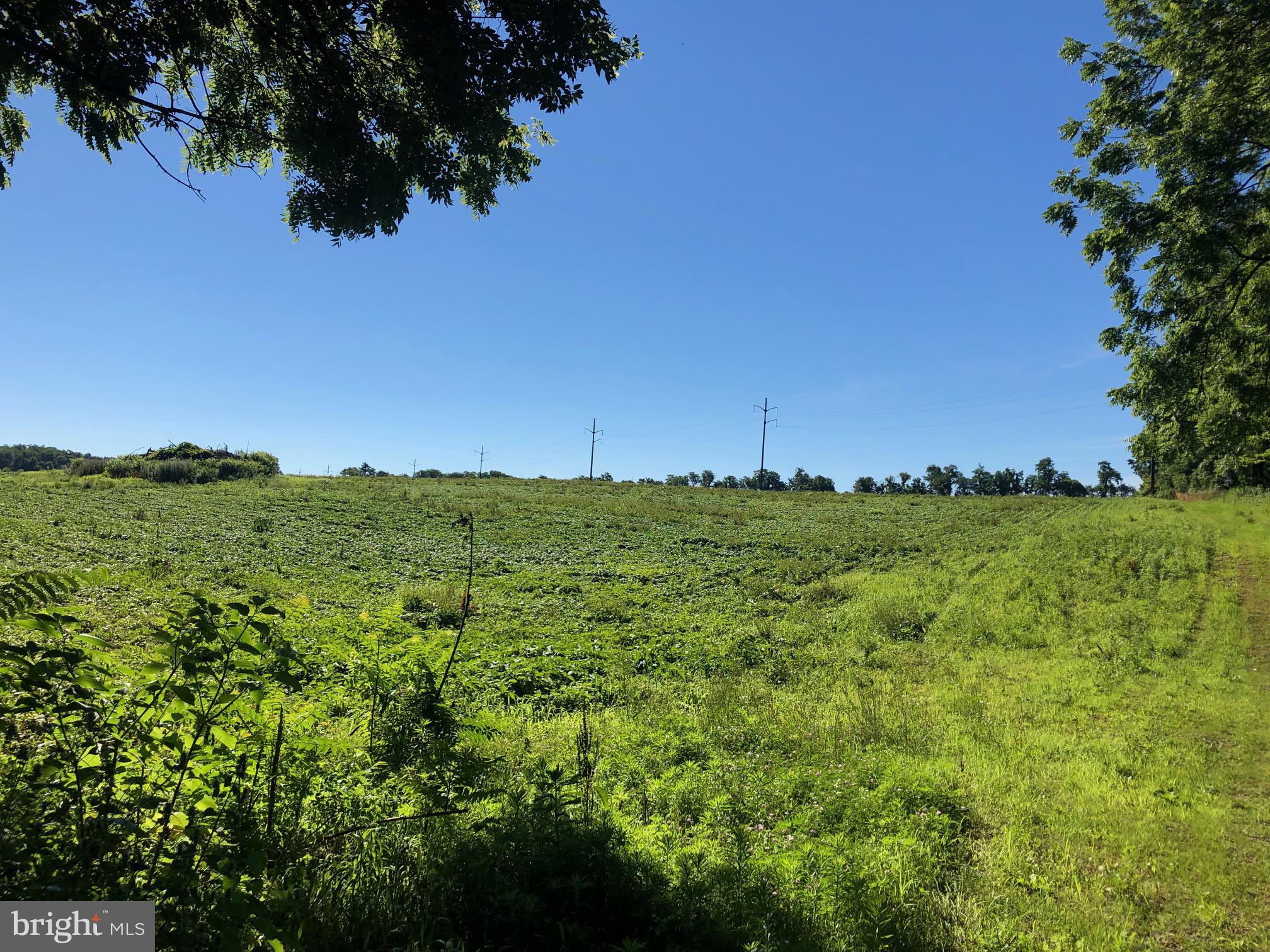Lot 4 Ritner Highway Carlisle, PA 17015 - Photo 1 of 1 Gallery Image 1
