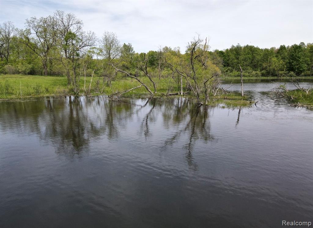 8450 Pepper Road Davisburg, MI 48350 - Photo 8 of 12