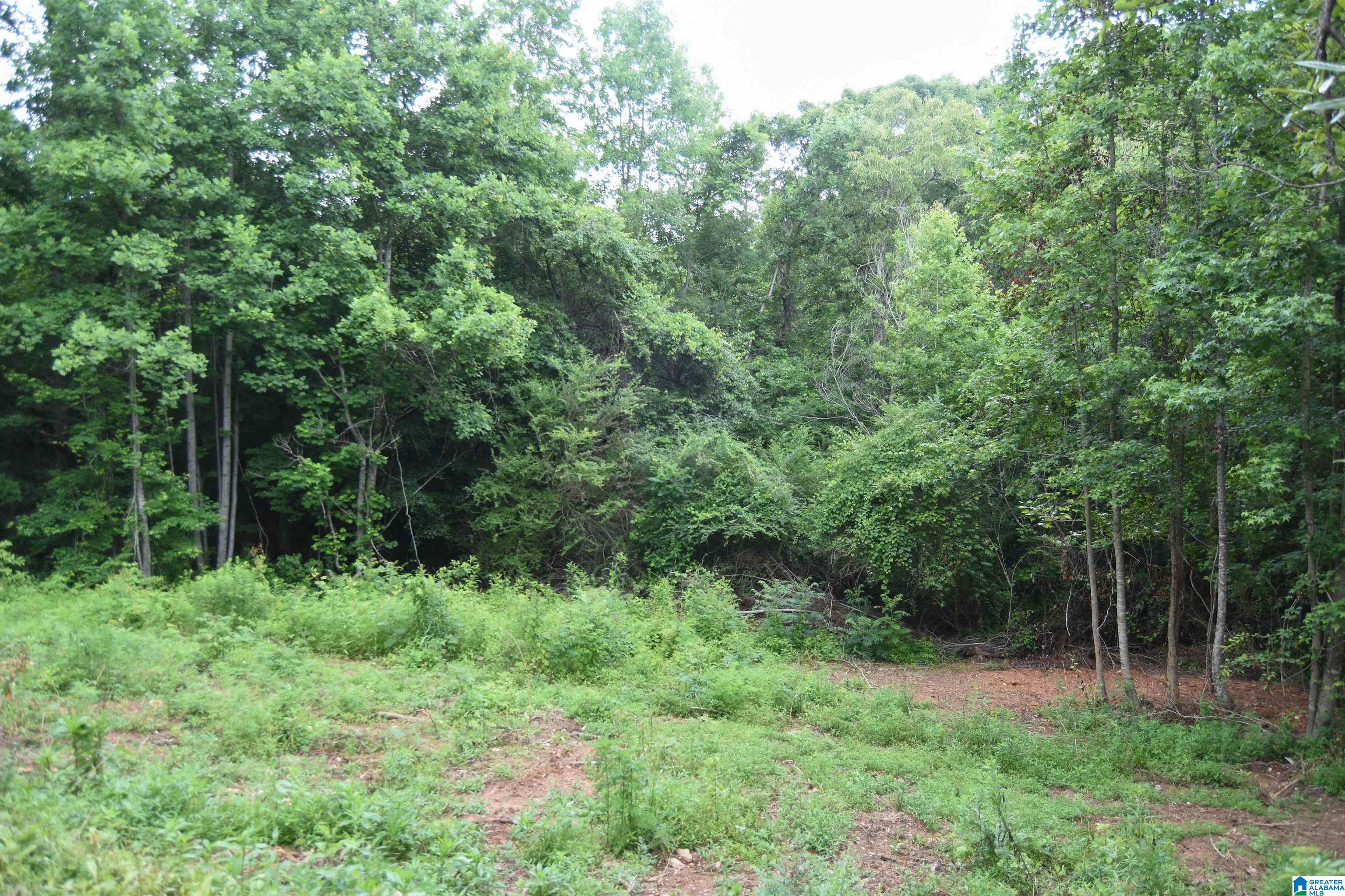 340 County Road 79 Heflin, AL 36264 - Photo 25 of 25