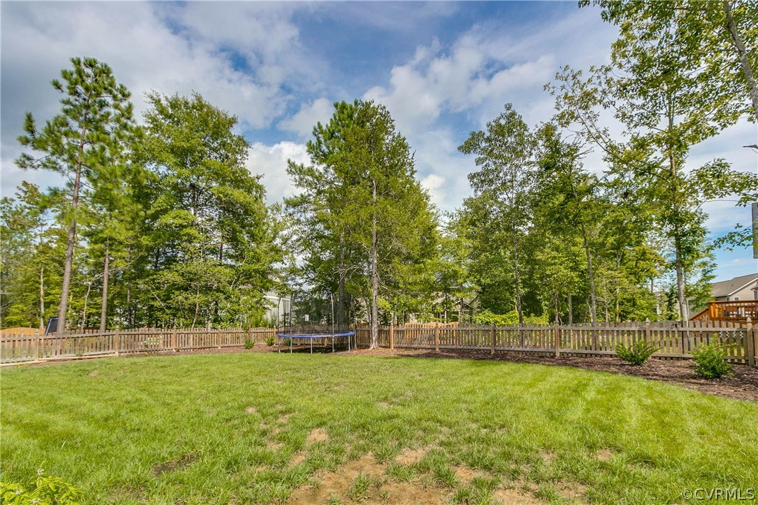 3237 Barkham Drive Midlothian, VA 23112 - Photo 46 of 48 a view of a yard with a large trees