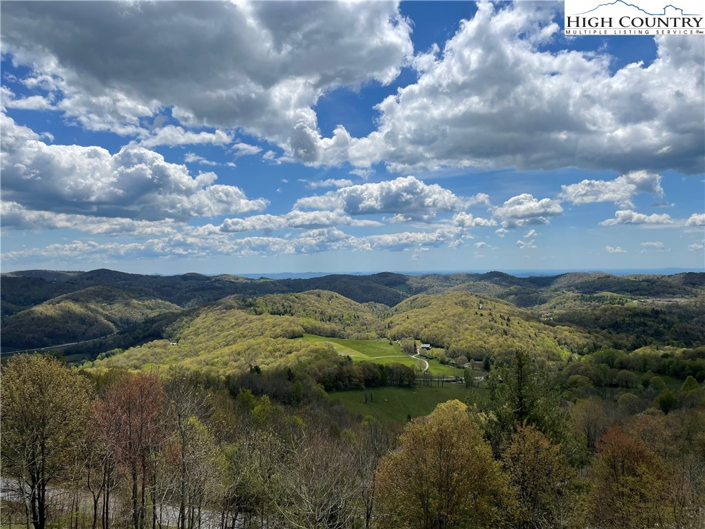 555 Golden Ridge Road Blowing Rock, NC 28605 - Photo 3 of 26 Gallery Image 3