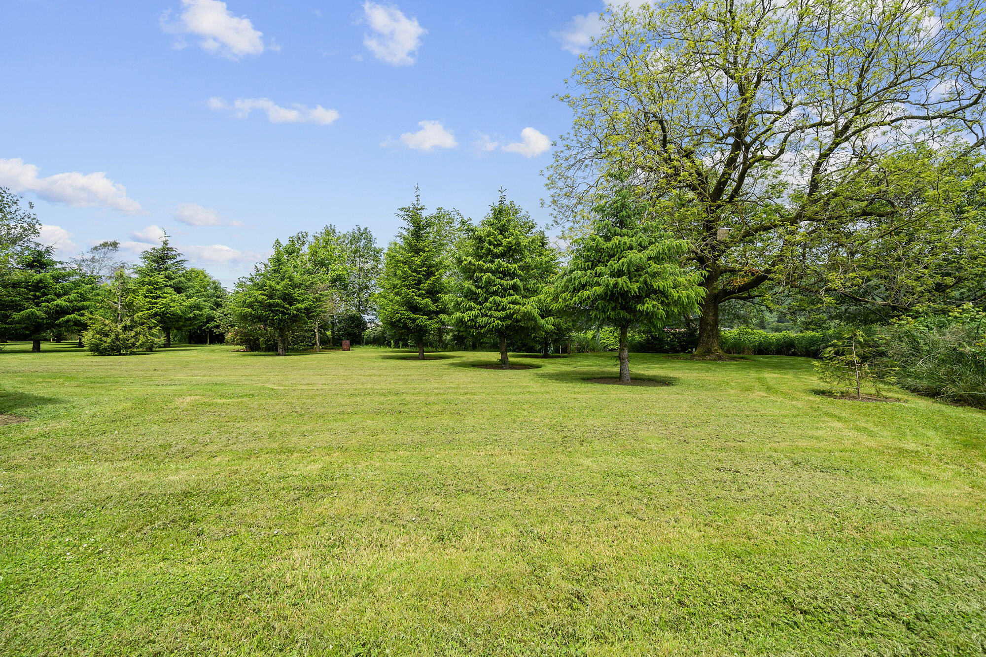 15885 Tideland Road Nehalem, OR 97131 - Photo 41 of 51 DSC04463