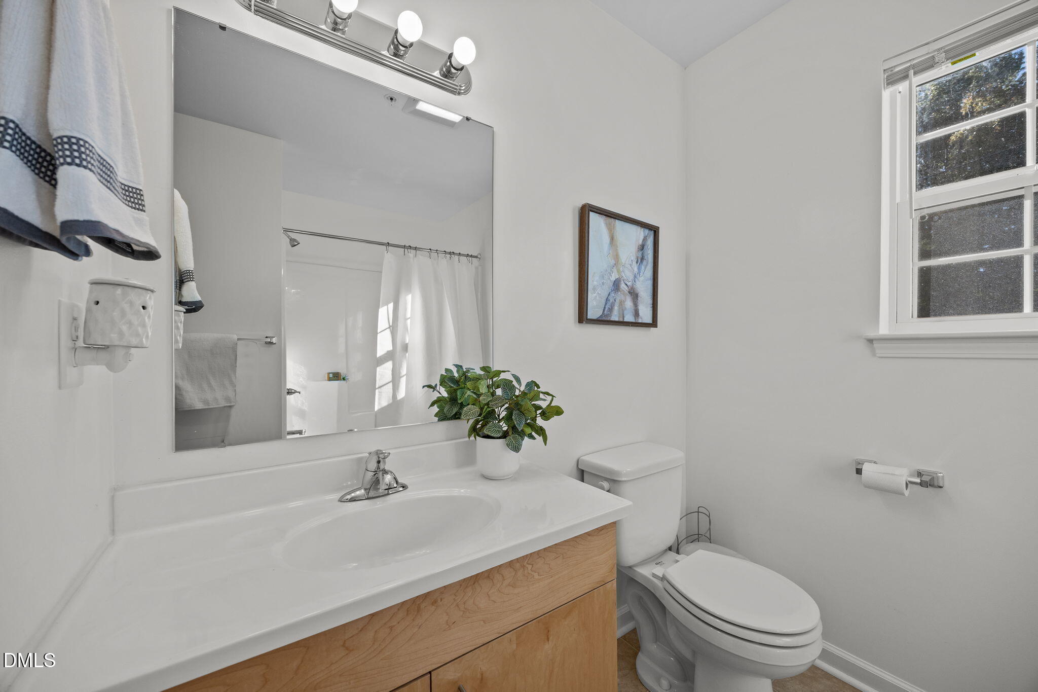 320 School House Road Efland, NC 27243 - Photo 15 of 18 a bathroom with a sink vanity mirror and toilet