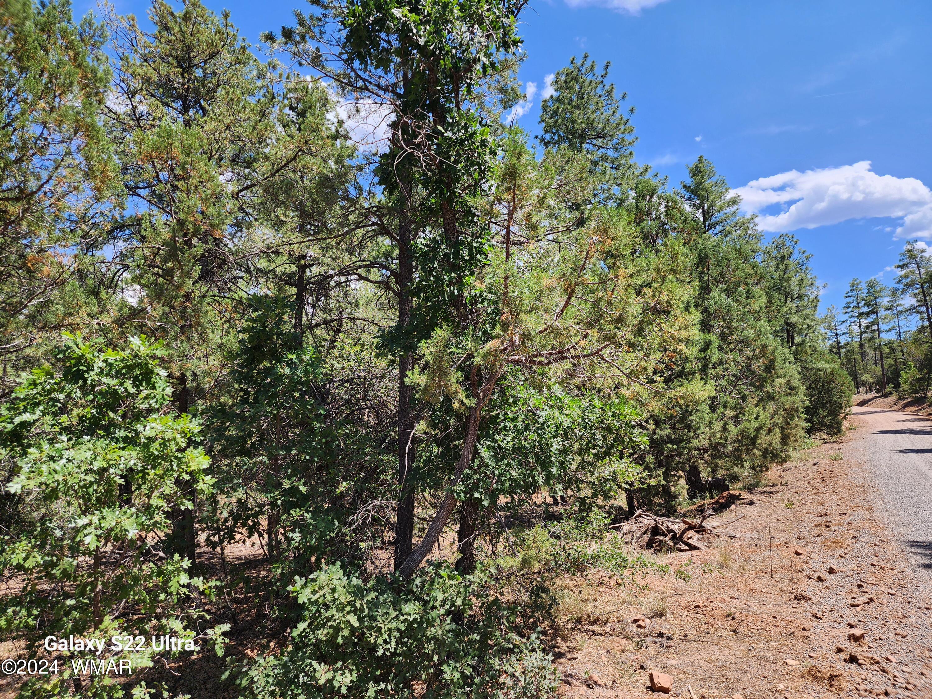 Tbd Timber Ranch Road Show Low, AZ 85901 - Photo 5 of 11 20240607_134020