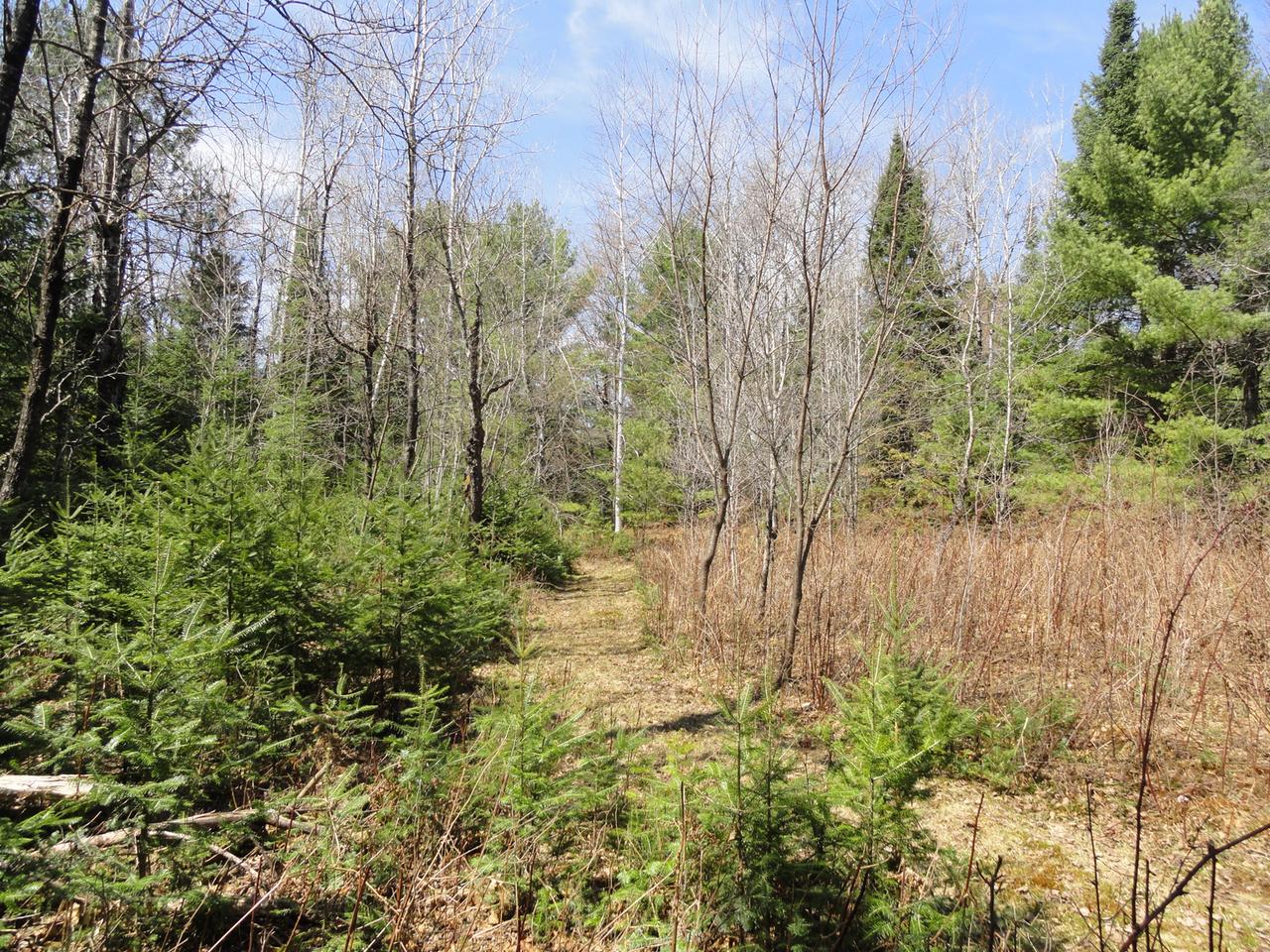 14-a Breezy Pine Road Rhinelander, WI 54501 - Photo 13 of 35 Gallery Image 13