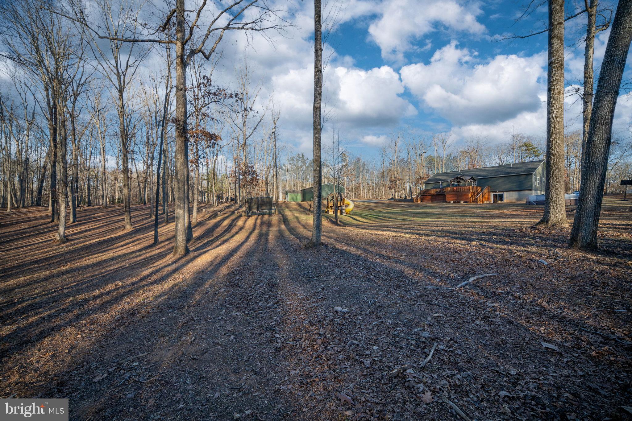13026 Elk Run Road Bealeton, VA 22712 - Photo 48 of 55 Serene woodland retreat under a blue sky.
