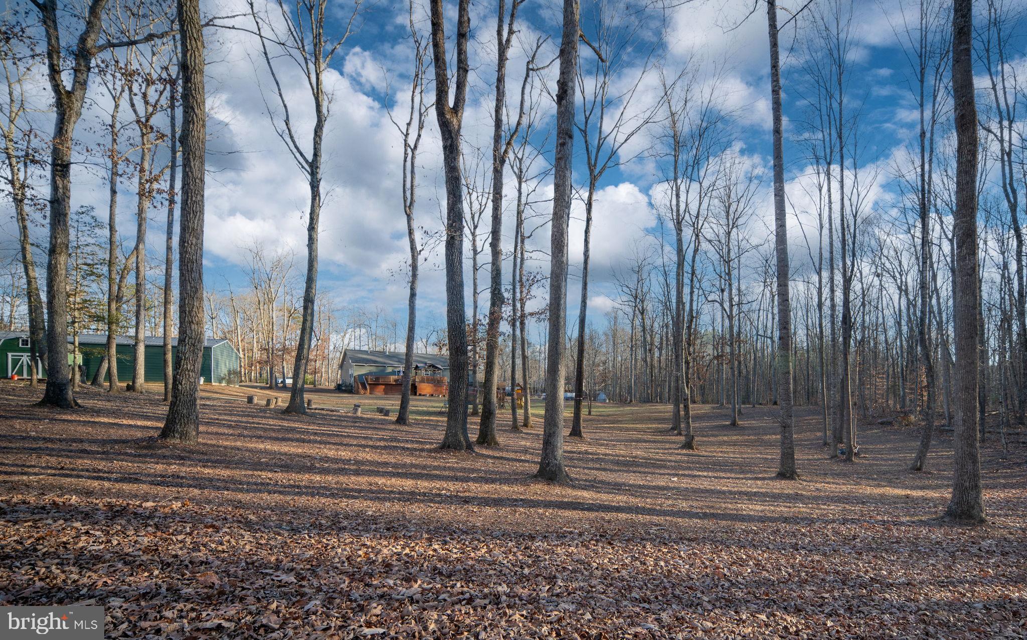 13026 Elk Run Road Bealeton, VA 22712 - Photo 49 of 54 Serene woodland retreat under a blue sky.