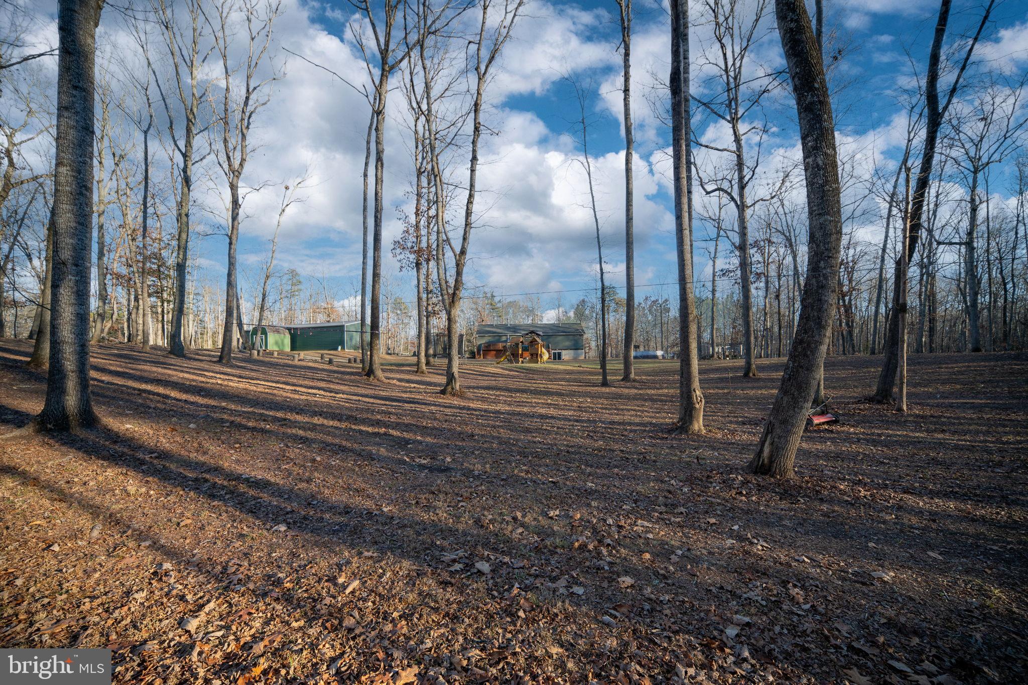13026 Elk Run Road Bealeton, VA 22712 - Photo 49 of 55 Serene woodland retreat under a vast sky.