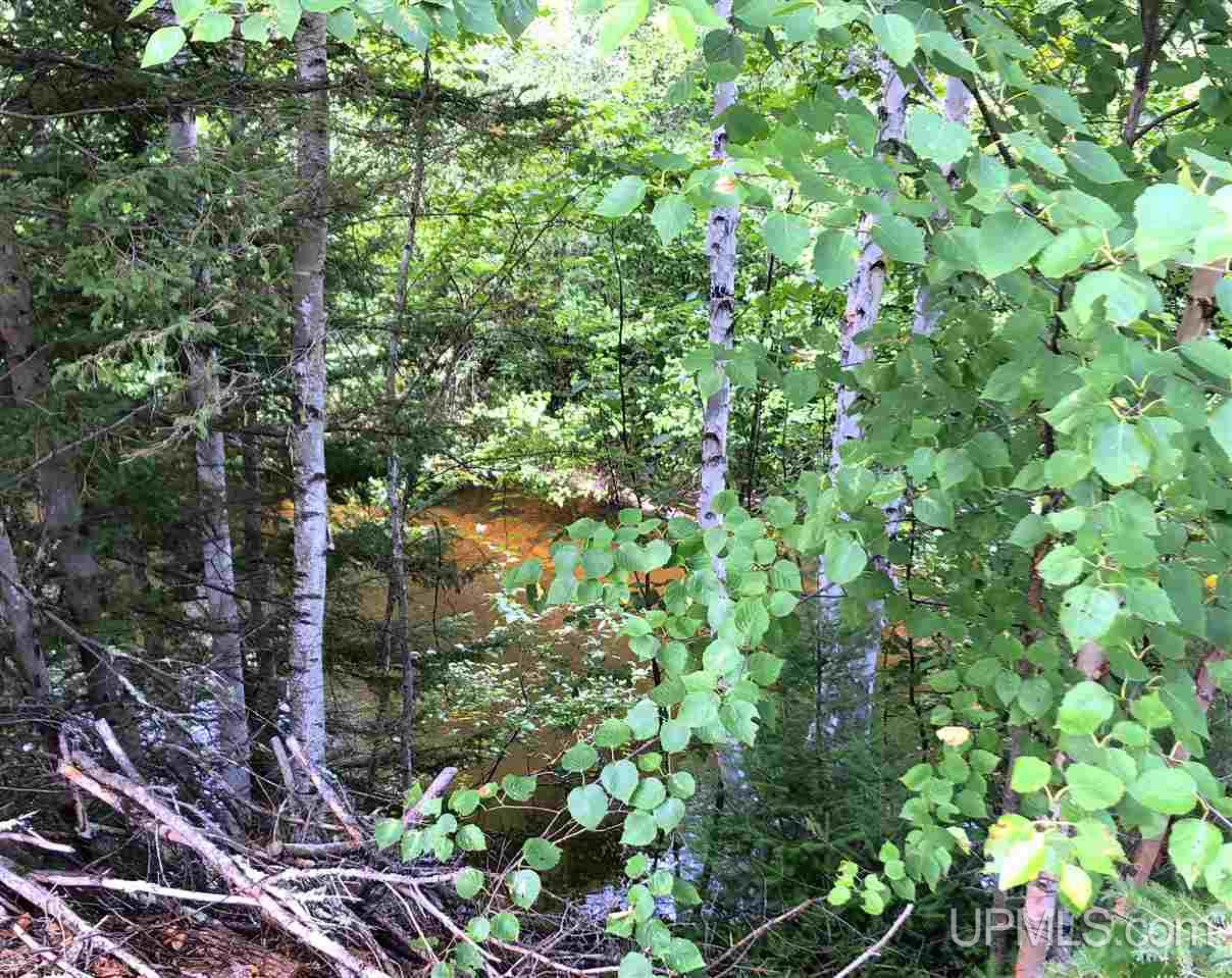 Tbd Perlot Road Felch, MI 49831 - Photo 33 of 45