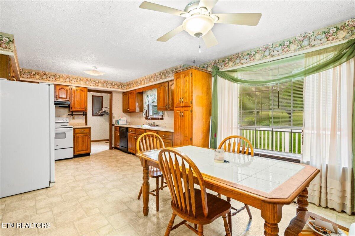 318 Springfield Drive La Follette, TN 37766 - Photo 24 of 46 22-318 Springfield Dr