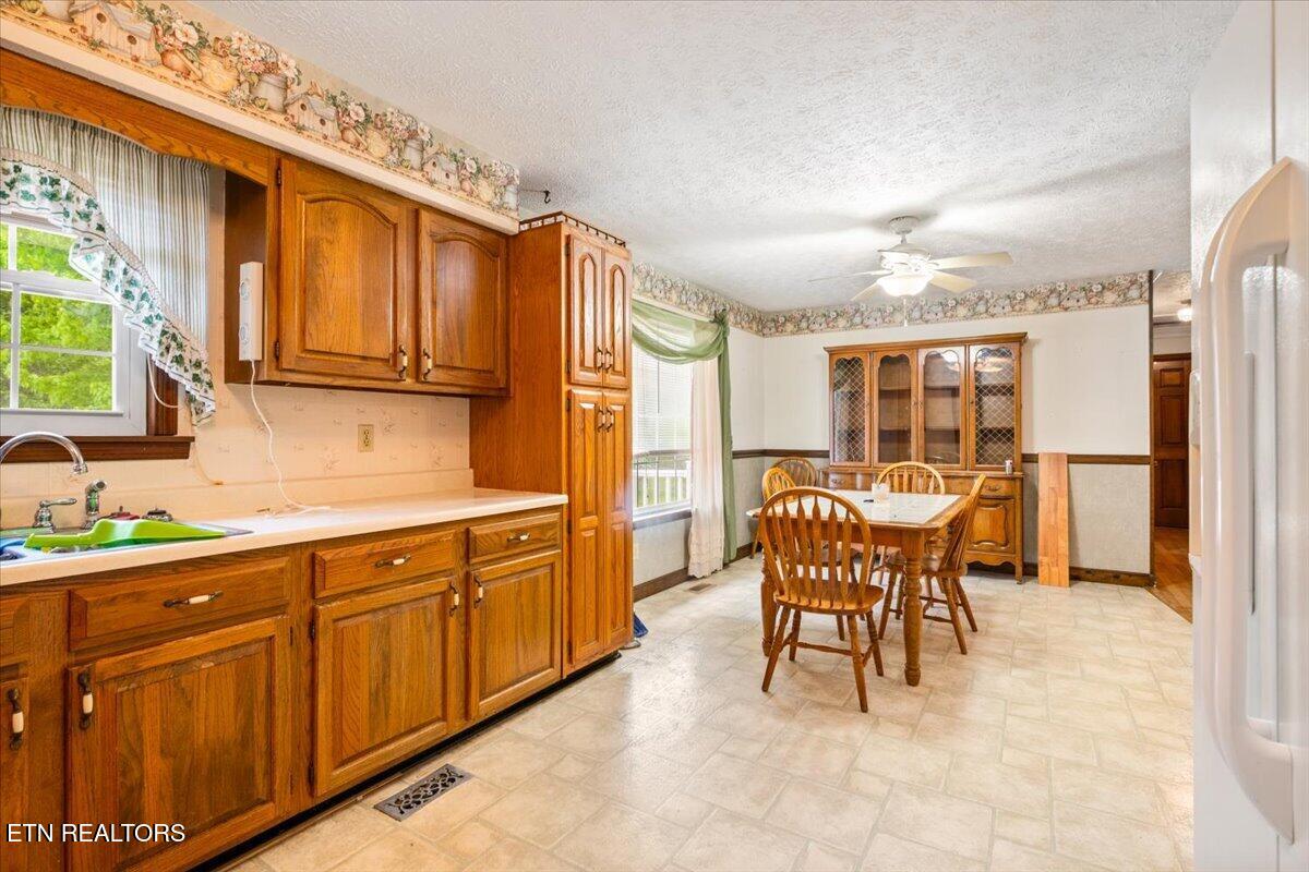 318 Springfield Drive La Follette, TN 37766 - Photo 26 of 46 25-318 Springfield Dr