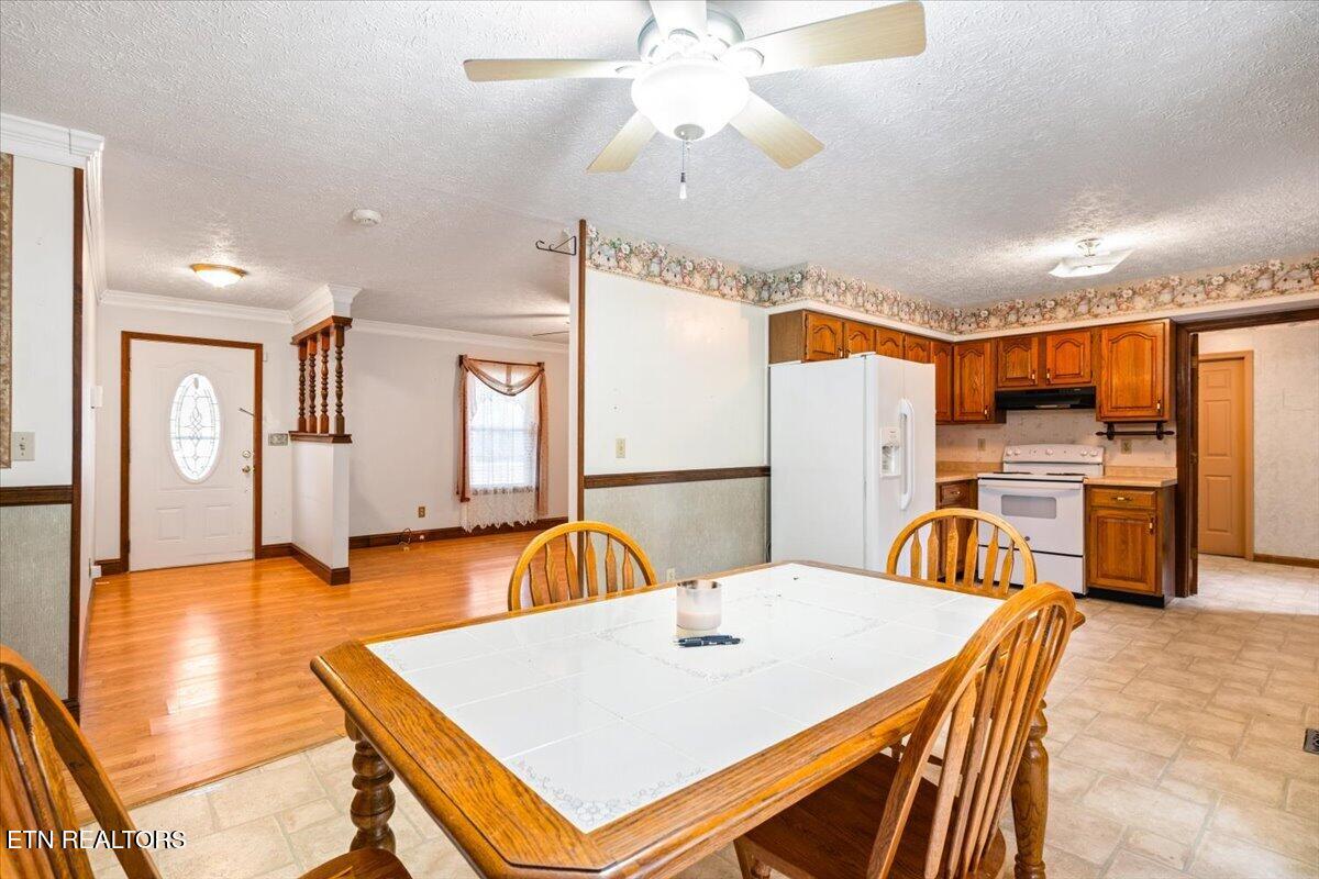 318 Springfield Drive La Follette, TN 37766 - Photo 3 of 46 23-318 Springfield Dr