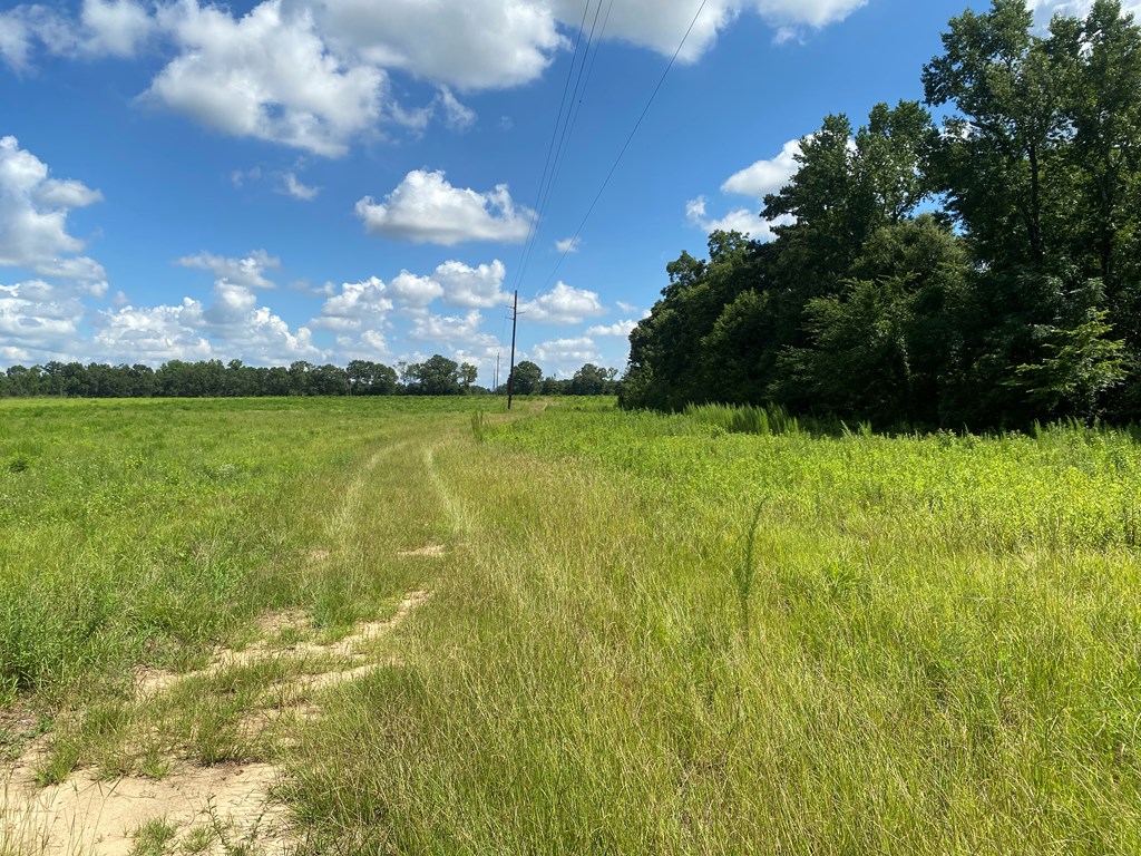 16-ac 16-ac National Road Dothan, AL 36301 - Photo 27 of 45