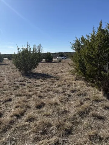 a view of a dry yard with trees in the background