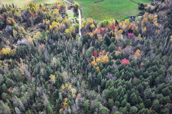 1021 Woods Road Warren, VT 05674 - Photo 12 of 24