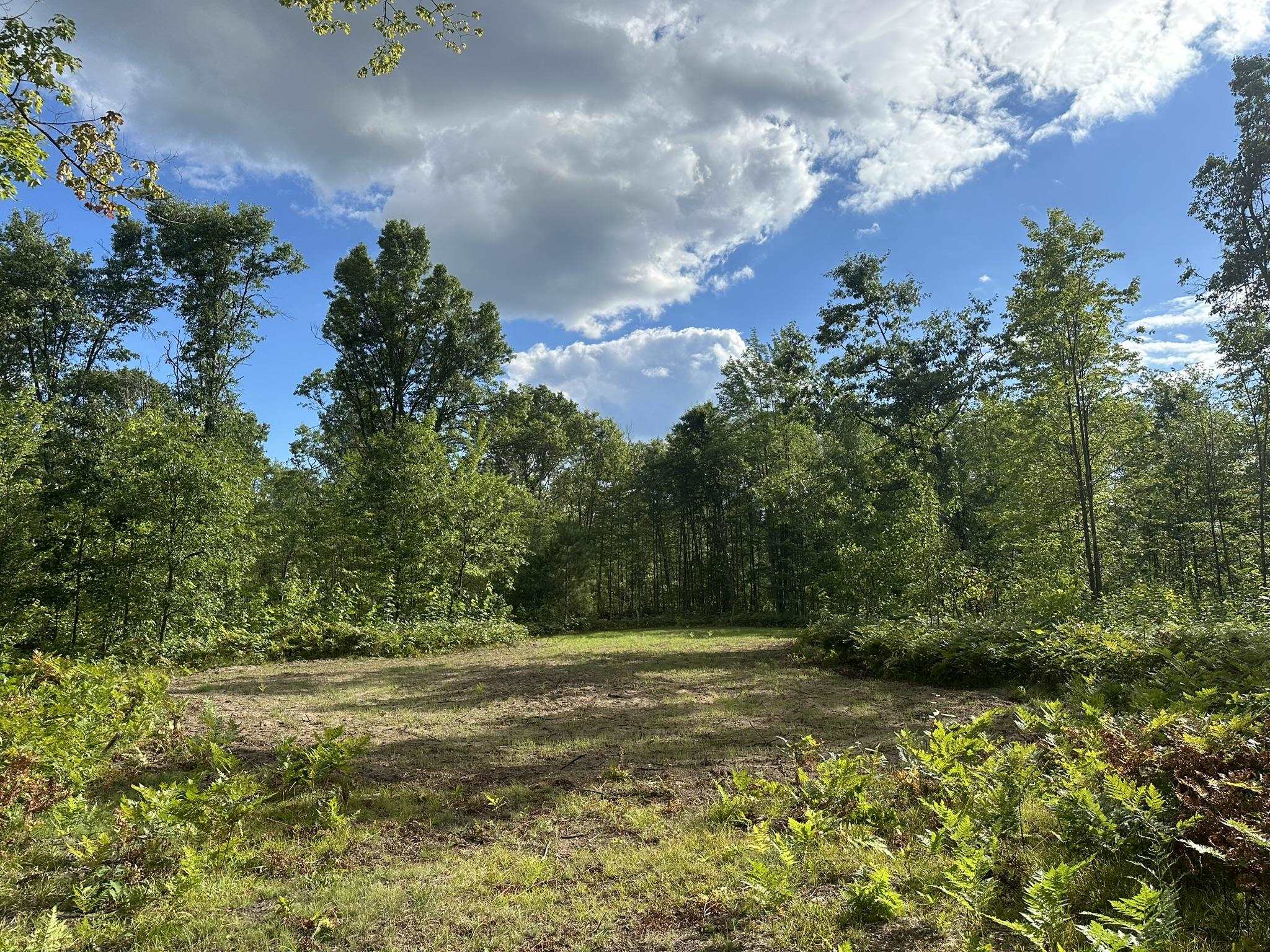 5304 South Brown Road Cadillac, MI 49601 - Photo 2 of 9