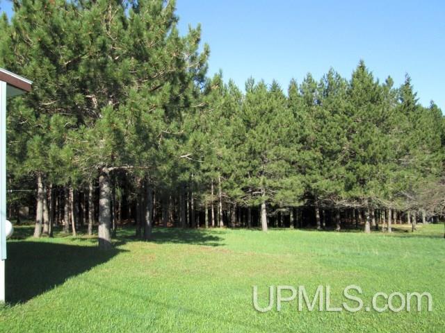 3305 Cedar Bay Road Calumet, MI 49913 - Photo 14 of 14