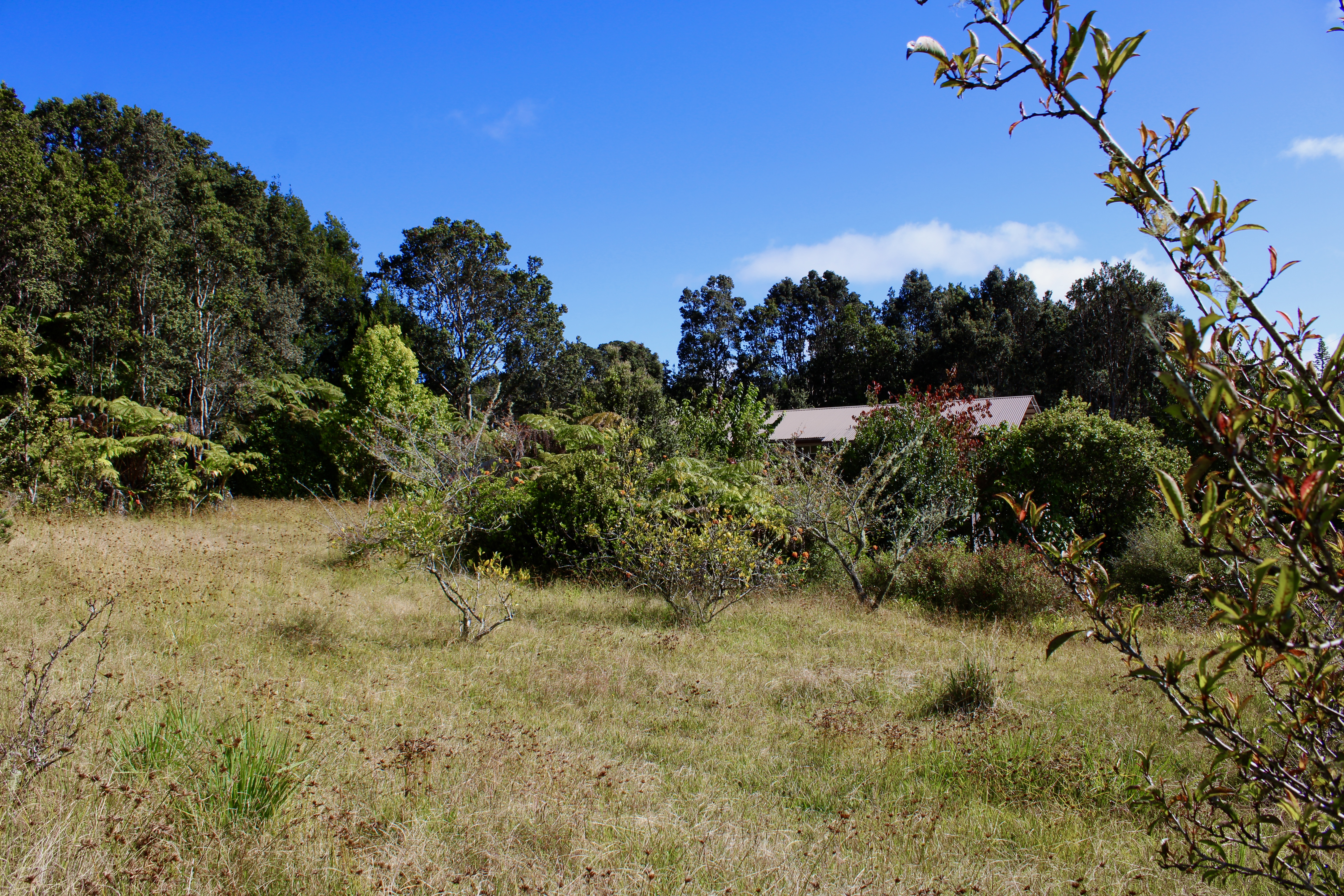 19-3940 Hoonanea Street Volcano, HI 96785 - Photo 15 of 16
