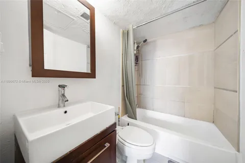 a view of a yard with plants and large trees