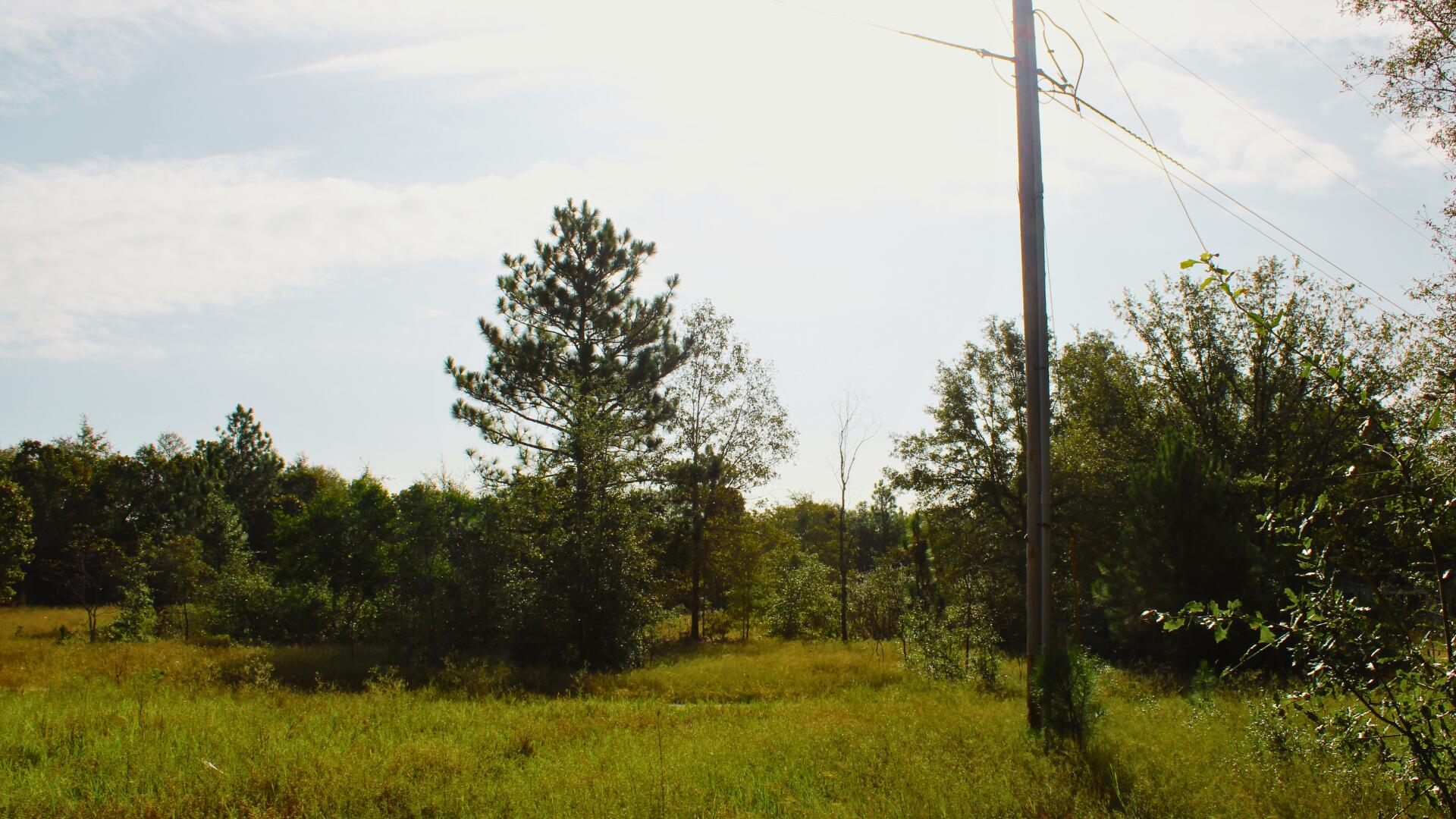 204 Whittle Pond Road Williston, SC 29853 - Photo 11 of 12 Lot 4