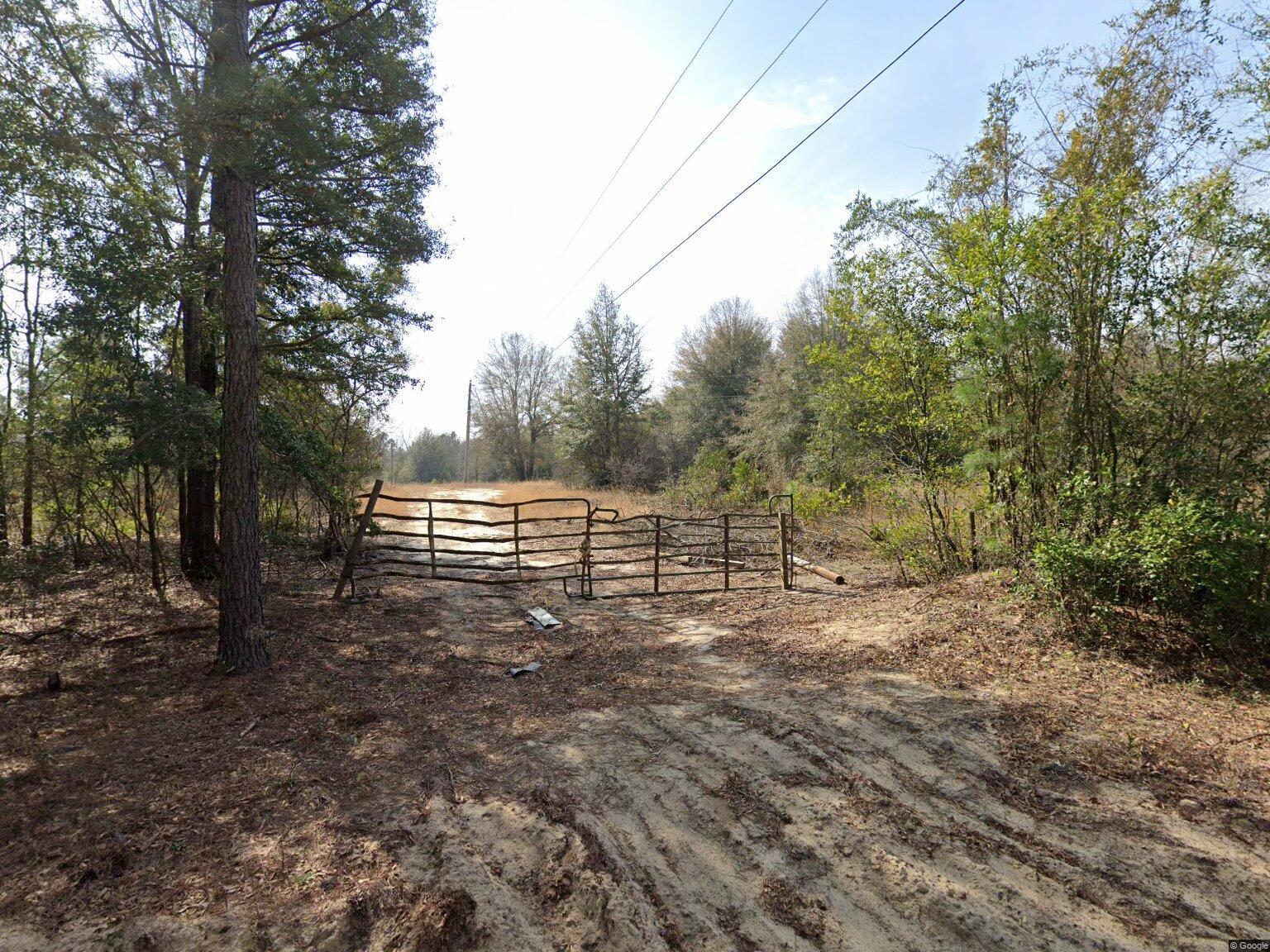 204 Whittle Pond Road Williston, SC 29853 - Photo 12 of 12 Streetview