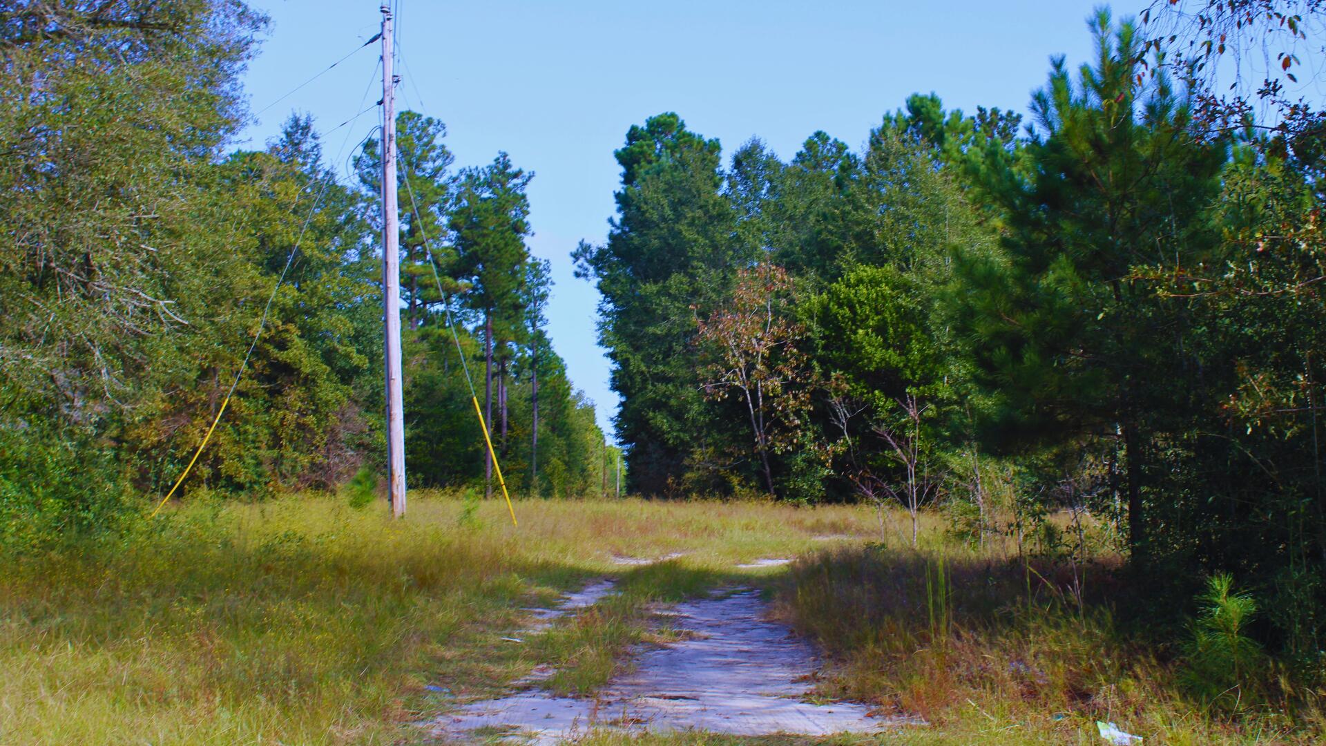 204 Whittle Pond Road Williston, SC 29853 - Photo 3 of 12 Driveway 2