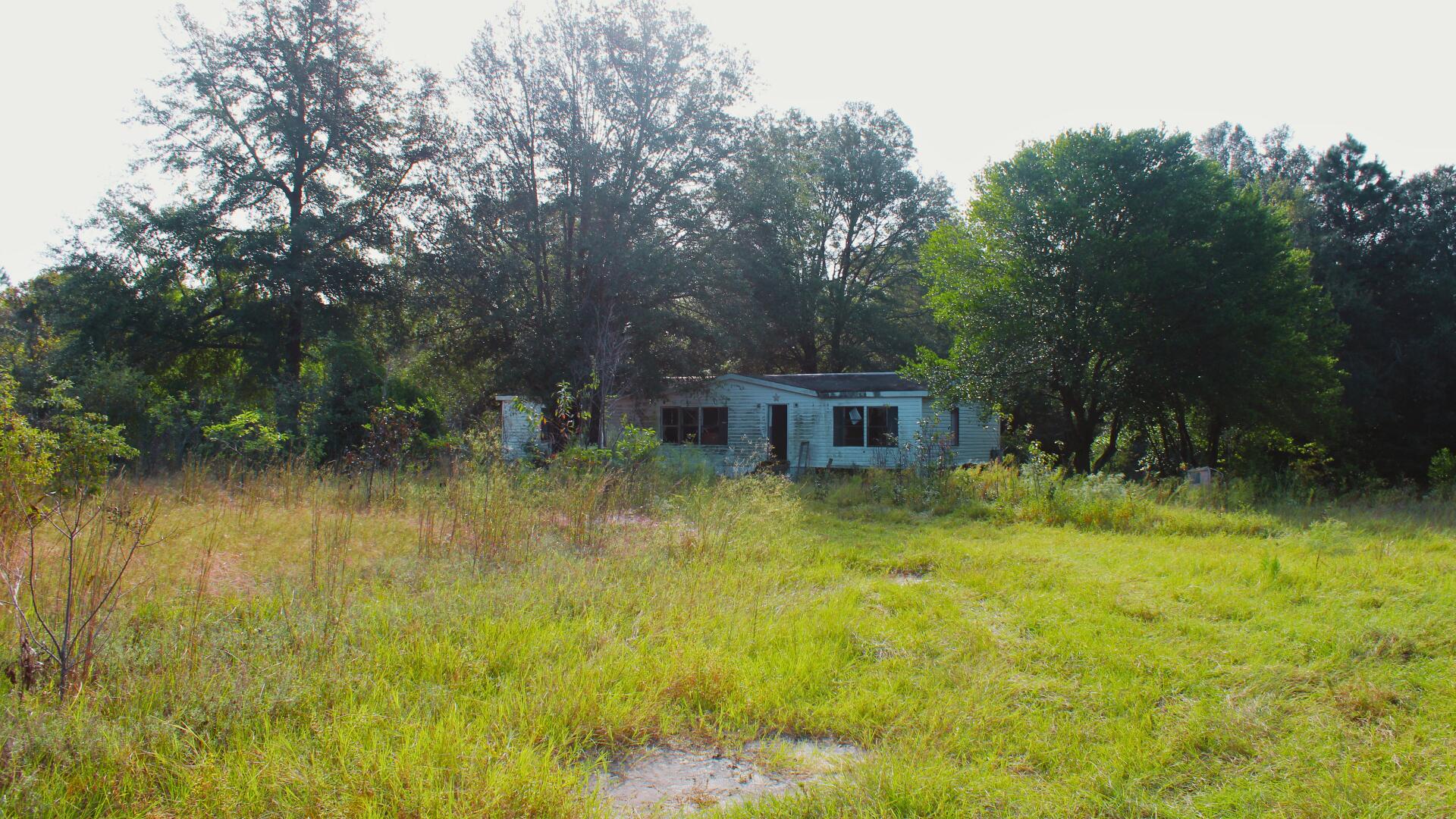 204 Whittle Pond Road Williston, SC 29853 - Photo 6 of 12 Trailer 1