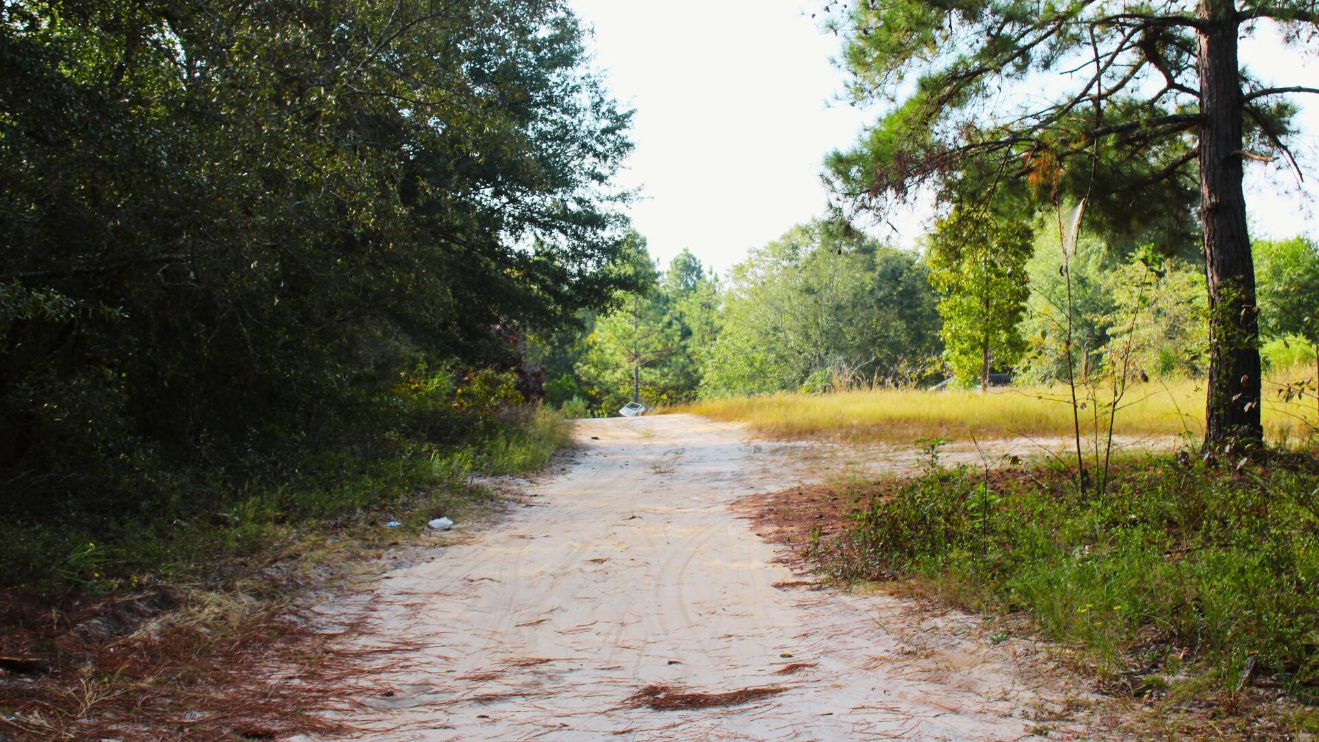 204 Whittle Pond Road Williston, SC 29853 - Photo 8 of 12 Driveway 1