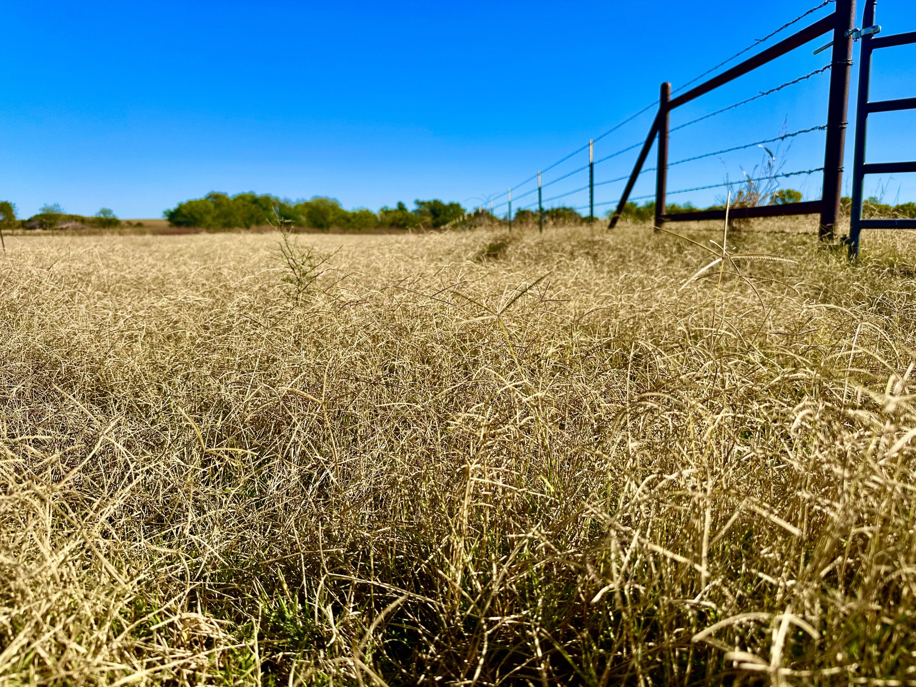 5 115 /- Acres State Highway Turkey, TX 79261 - Photo 20 of 28 a view of ocean