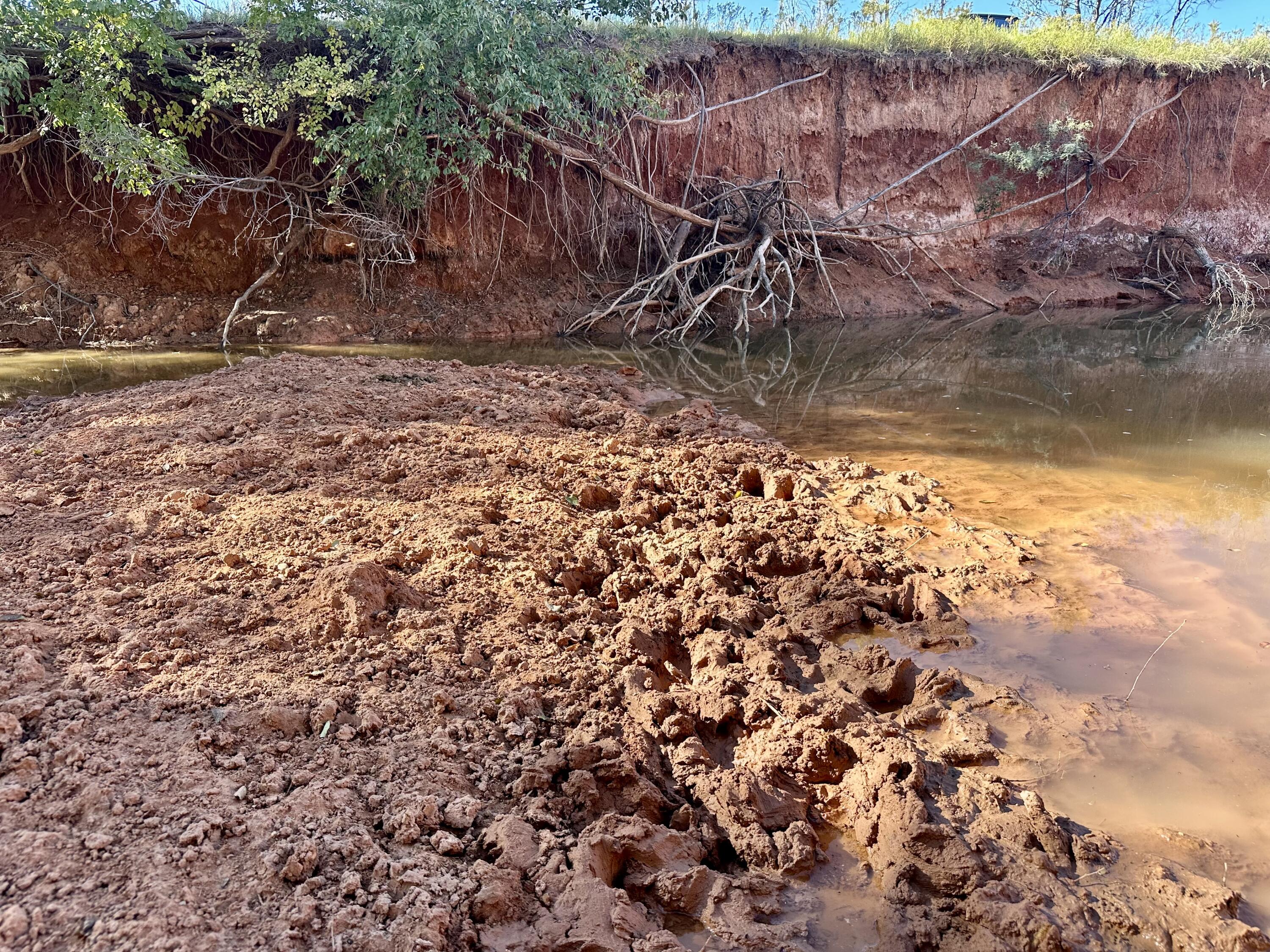 5 115 /- Acres State Highway Turkey, TX 79261 - Photo 24 of 28 a backyard of a house with lots of green space