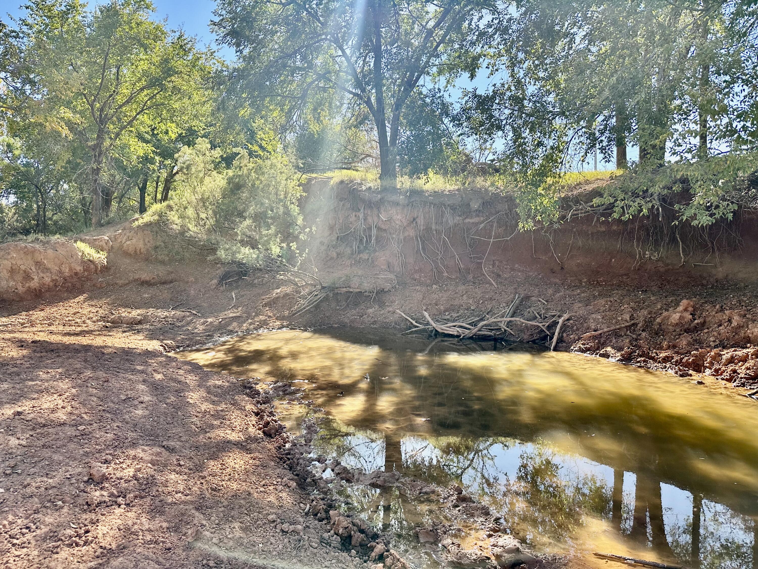 5 115 /- Acres State Highway Turkey, TX 79261 - Photo 25 of 28 a view of a yard