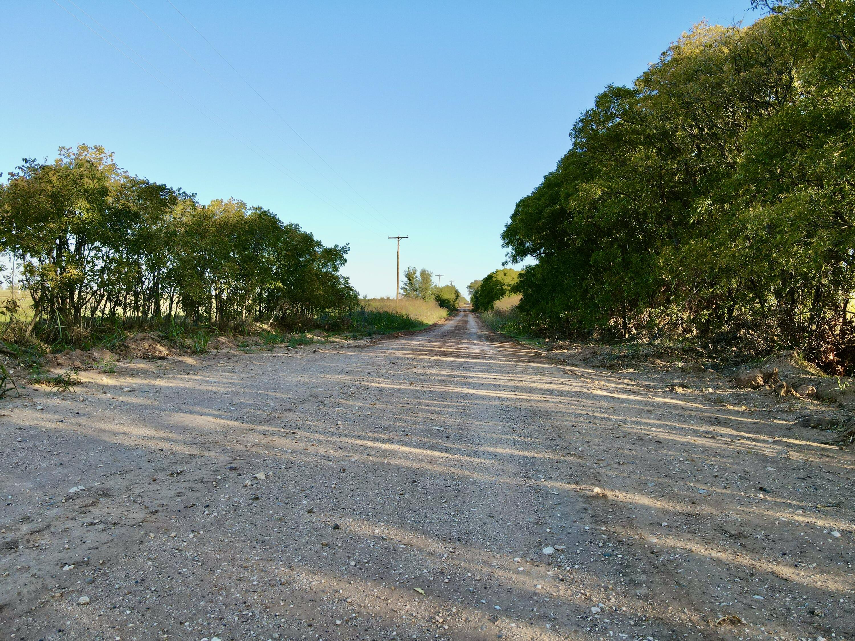 5 115 /- Acres State Highway Turkey, TX 79261 - Photo 3 of 28 a view of a roadside with trees