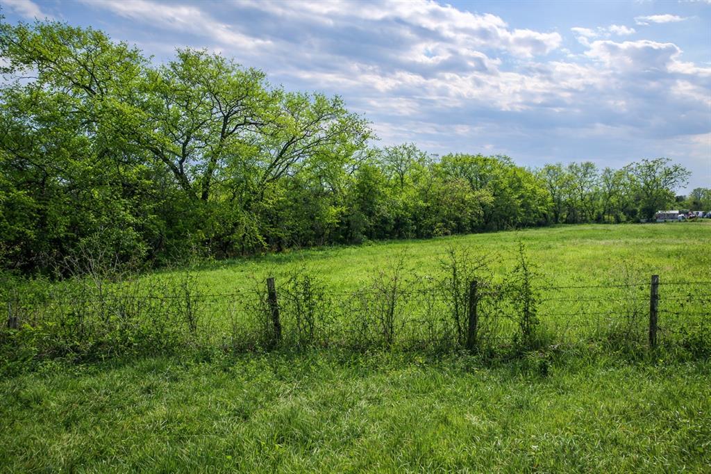 Tbd South Fir Street Celeste, TX 75423 - Photo 3 of 5 a view of a green field with trees
