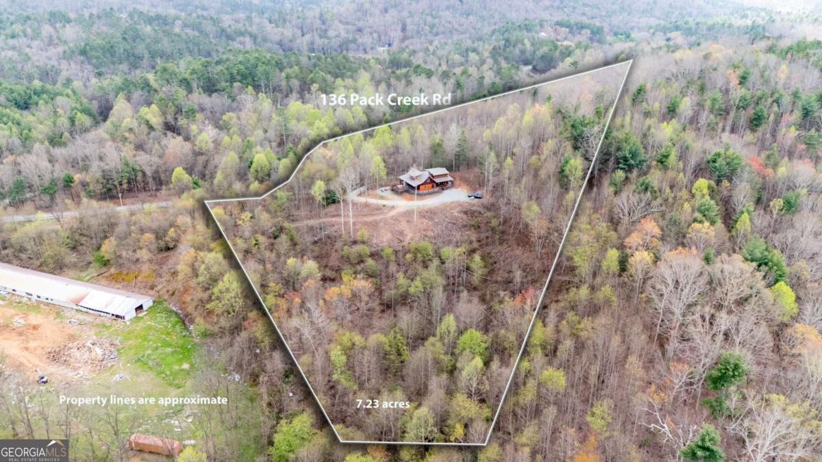 136 Pack Creek Road Blue Ridge, GA 30513 - Photo 3 of 62