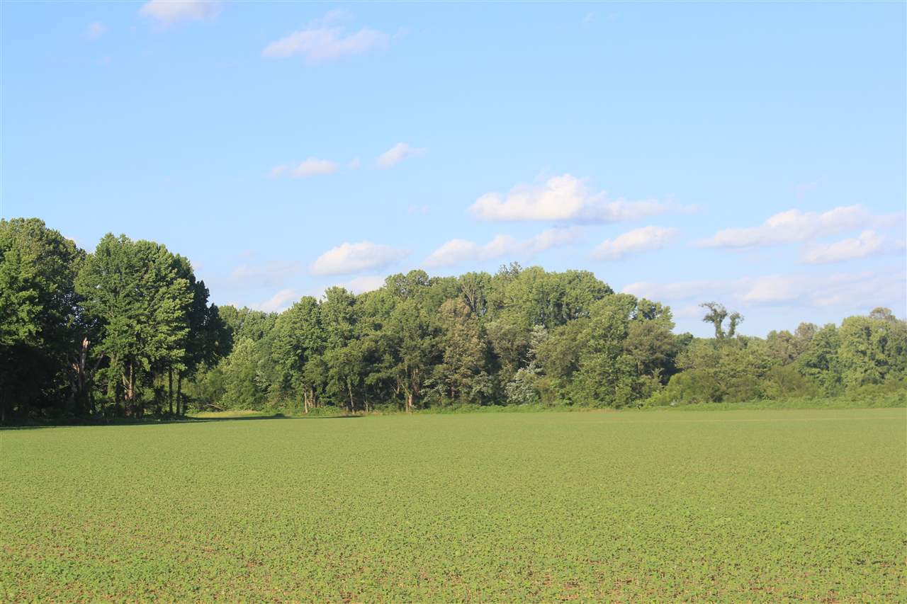 5500 Robertson Gin Road Hernando, MS 38632 - Photo 12 of 17