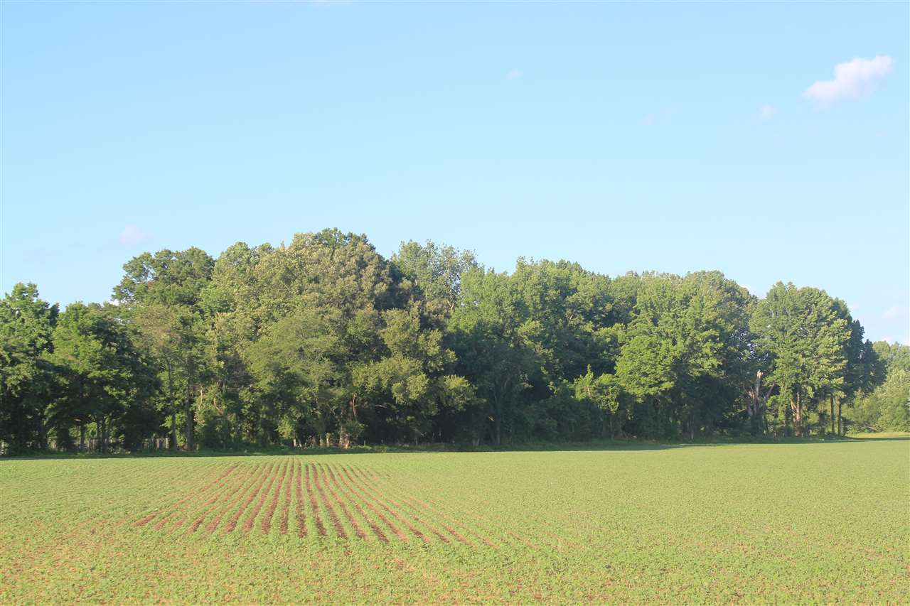 5500 Robertson Gin Road Hernando, MS 38632 - Photo 13 of 17