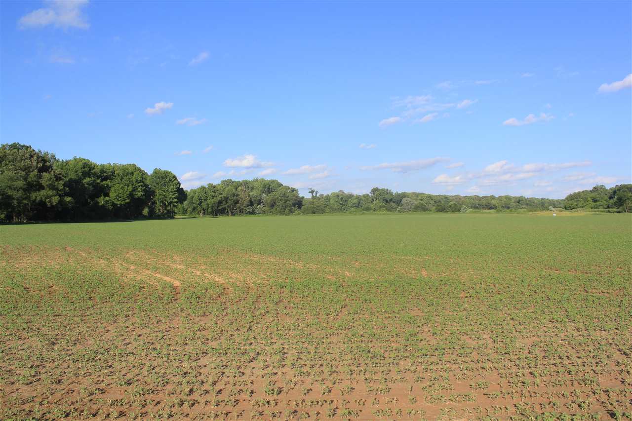 5500 Robertson Gin Road Hernando, MS 38632 - Photo 14 of 17