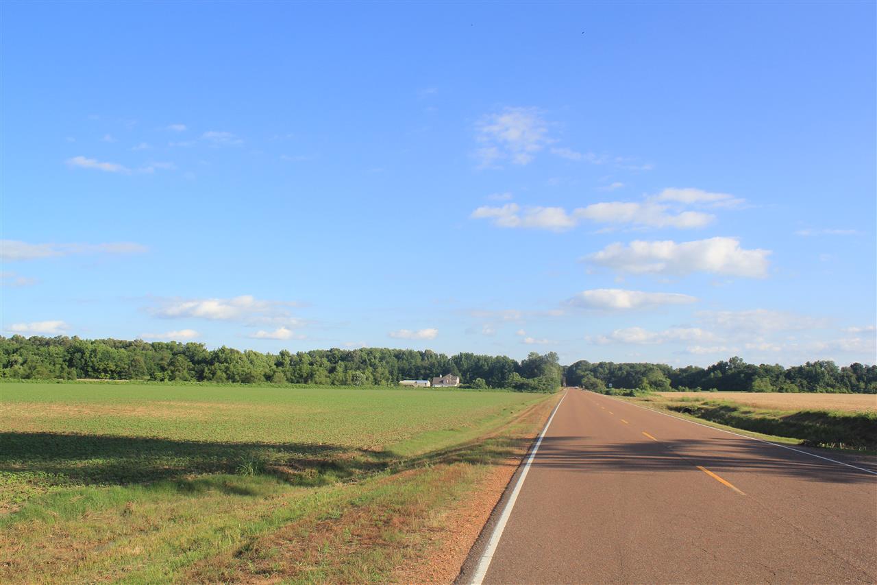 5500 Robertson Gin Road Hernando, MS 38632 - Photo 4 of 17