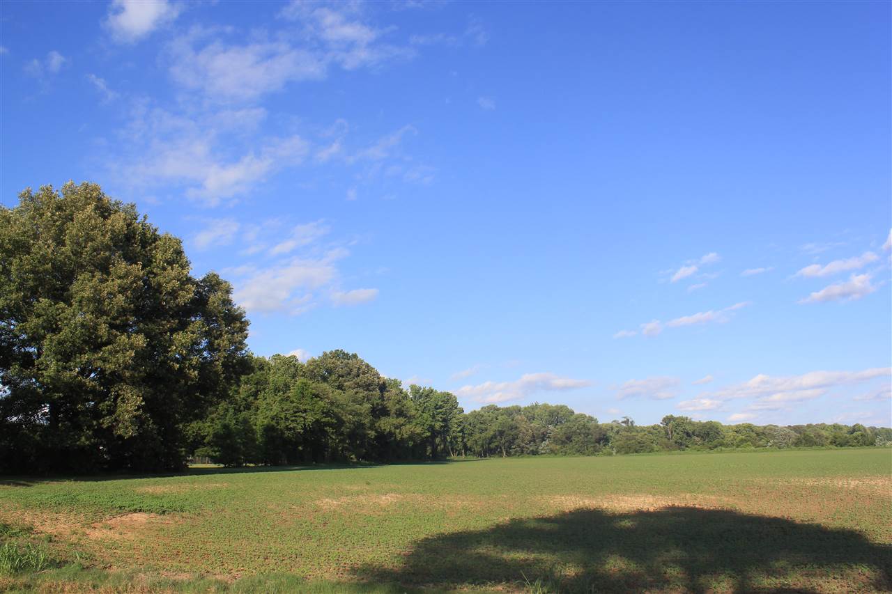 5500 Robertson Gin Road Hernando, MS 38632 - Photo 5 of 17