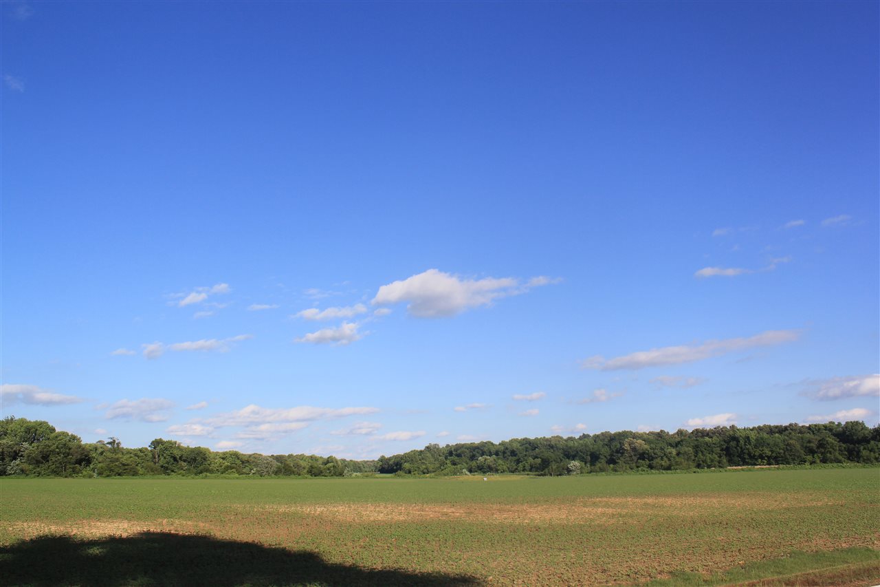 5500 Robertson Gin Road Hernando, MS 38632 - Photo 6 of 17