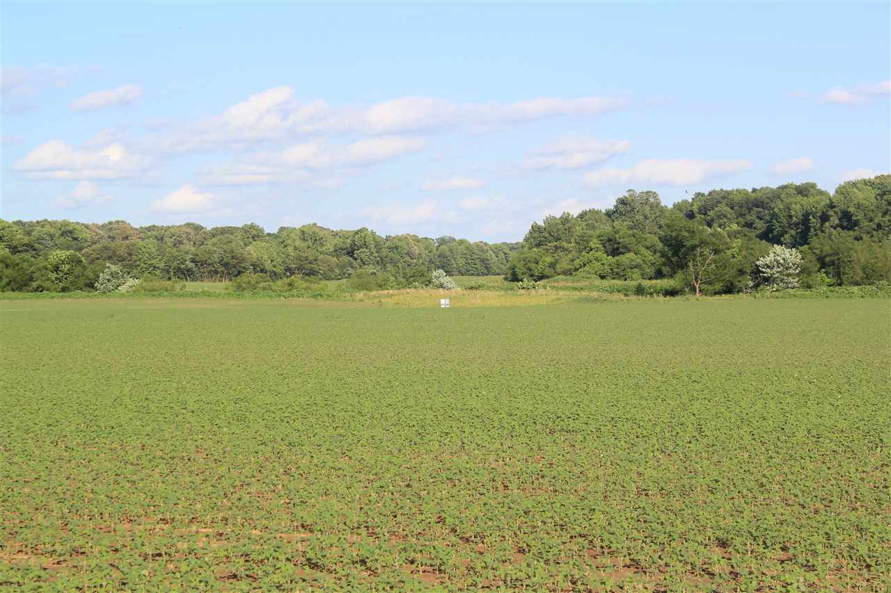 5500 Robertson Gin Road Hernando, MS 38632 - Photo 8 of 17