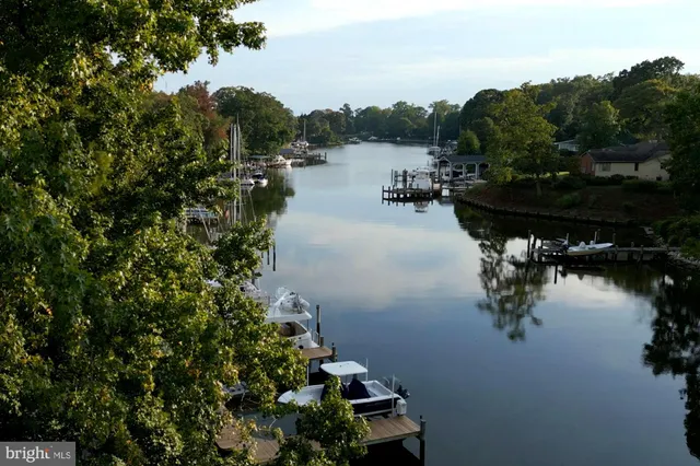 a view of pool with large trees and a big yard