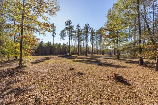 a view of road with trees