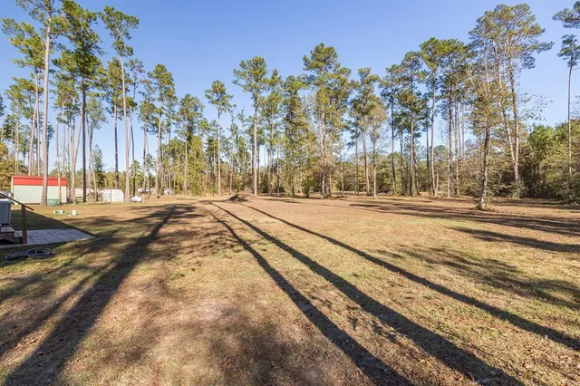 a view of a yard with trees