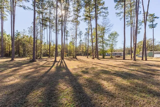 a view of road with trees