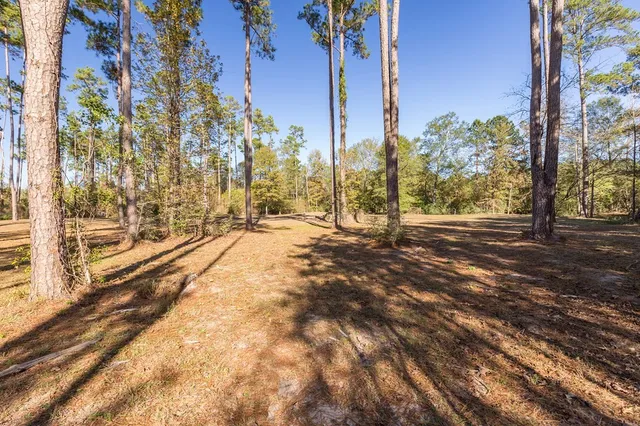 a view of pathway with yard