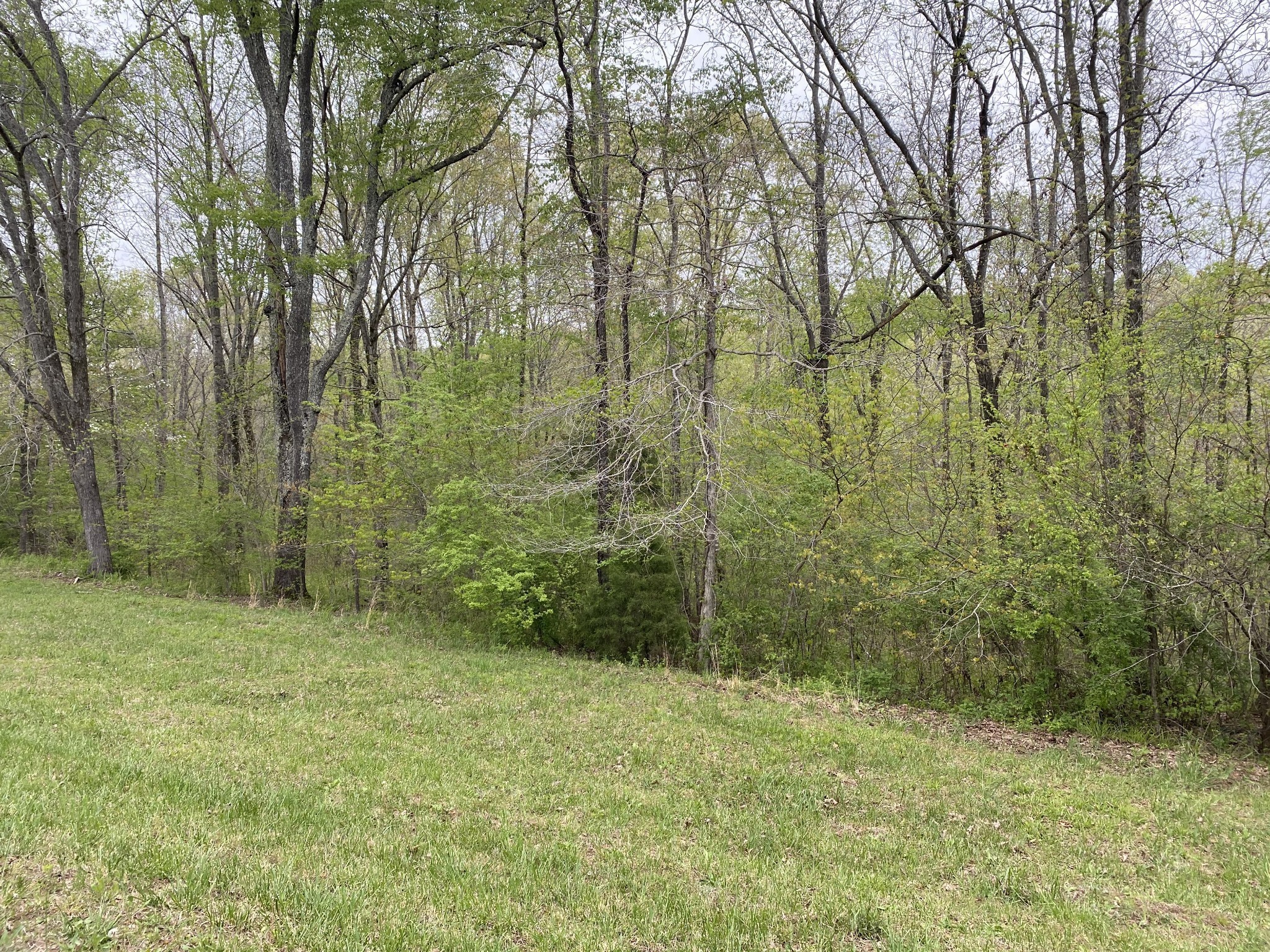 0 Eagle Loop Loretto, TN 38469 - Photo 6 of 7