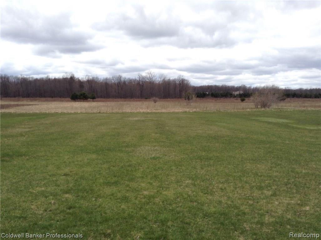 1840 South Summers Road Imlay City, MI 48444 - Photo 49 of 53 Backyard 3.JPG