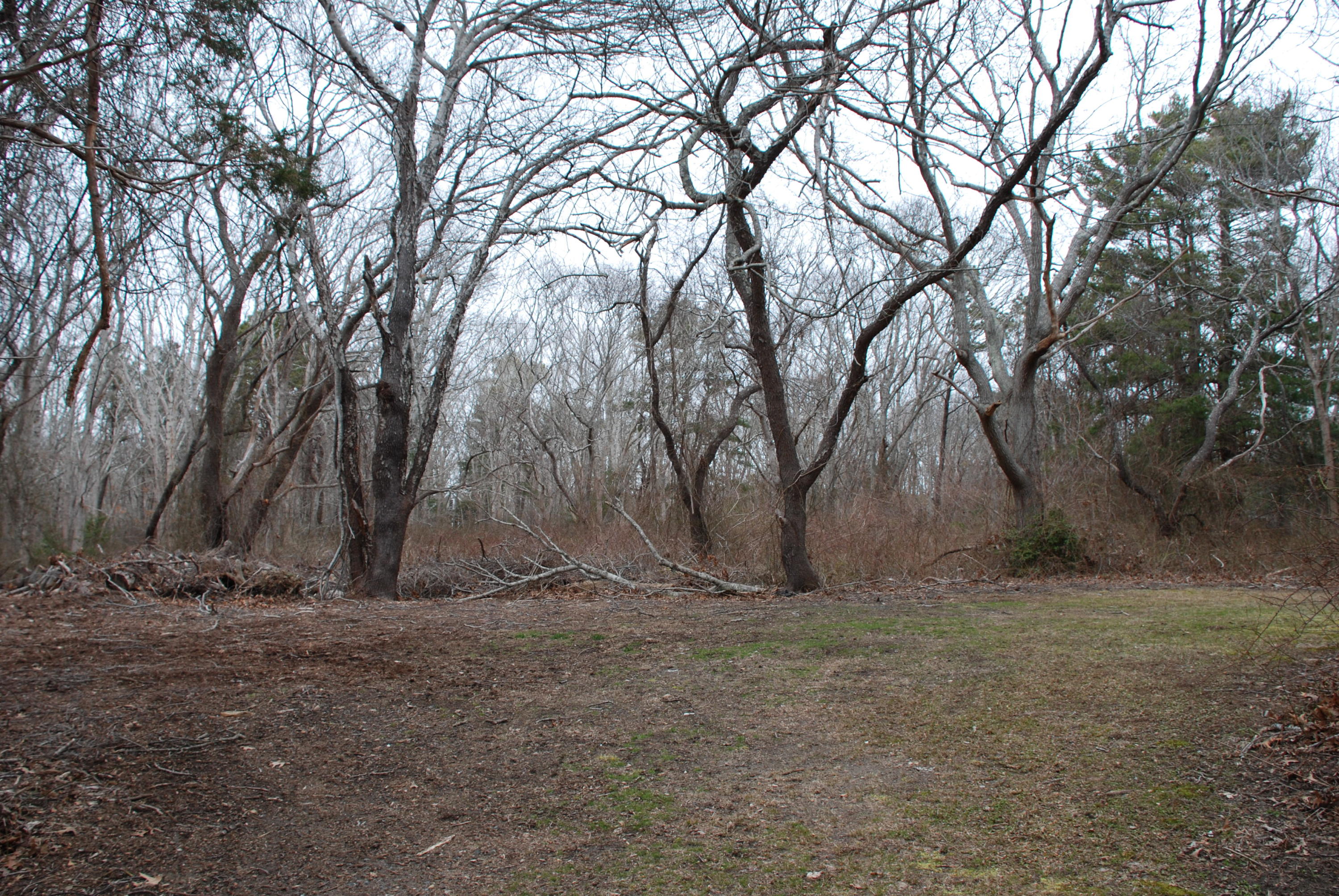 59 Ploughed Neck Road Sandwich, MA 02537 - Photo 30 of 35 DSC_1480