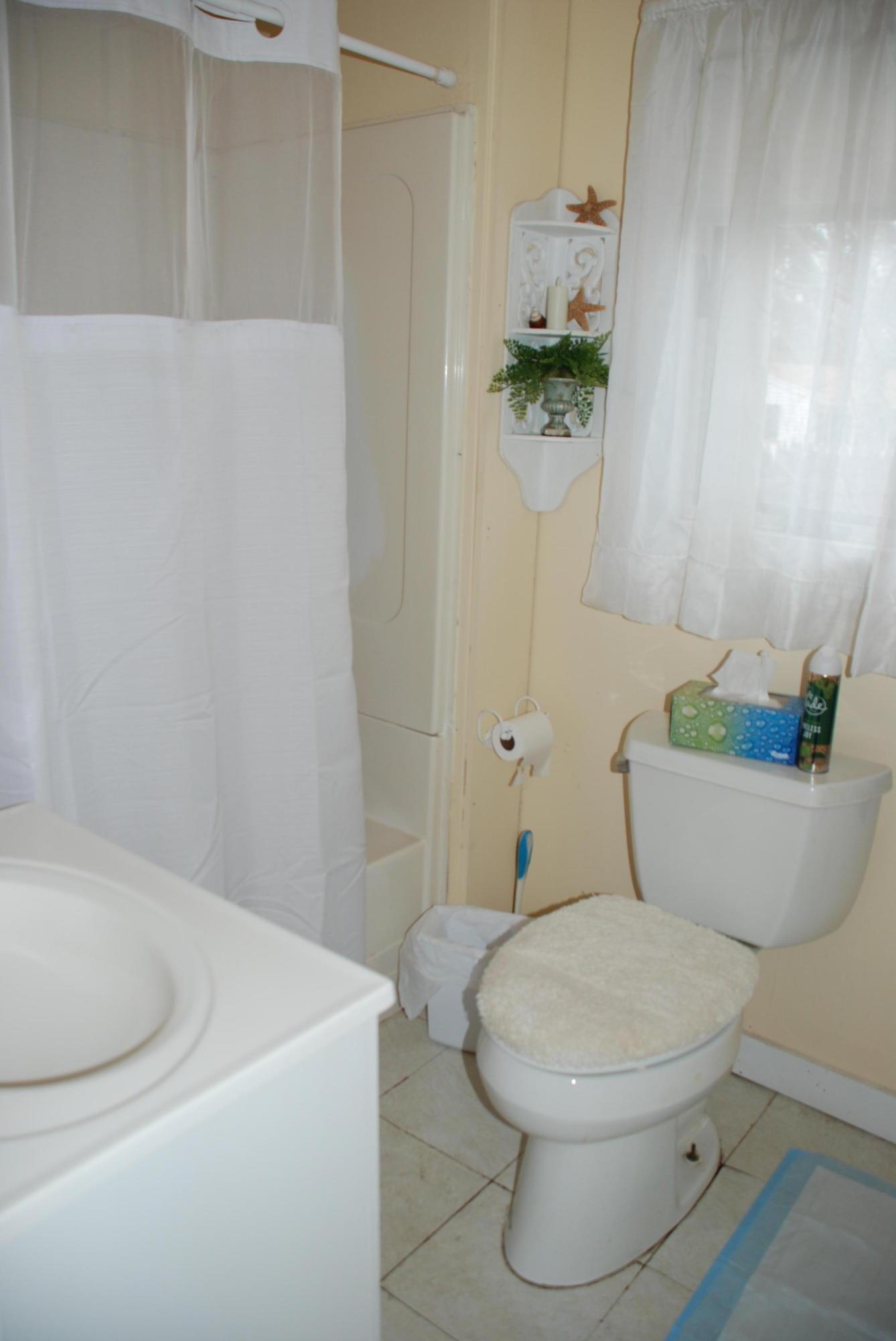 59 Ploughed Neck Road Sandwich, MA 02537 - Photo 9 of 35 DSC_1444